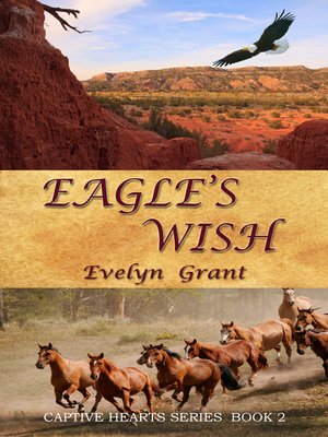 cover image of Eagle's Wish
